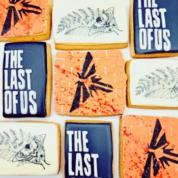 the last of us set