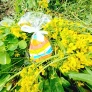 oeuf nature