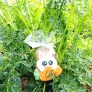 lapin nature
