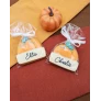 citrouilles sachets