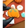 mini citrouille