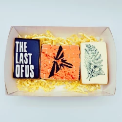the last of us coffret