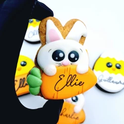 lapin