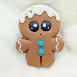 Mr biscuit
