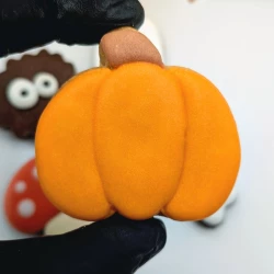 mini citrouilloe
