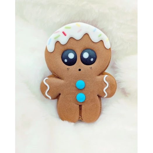 Mr biscuit Mr biscuit
