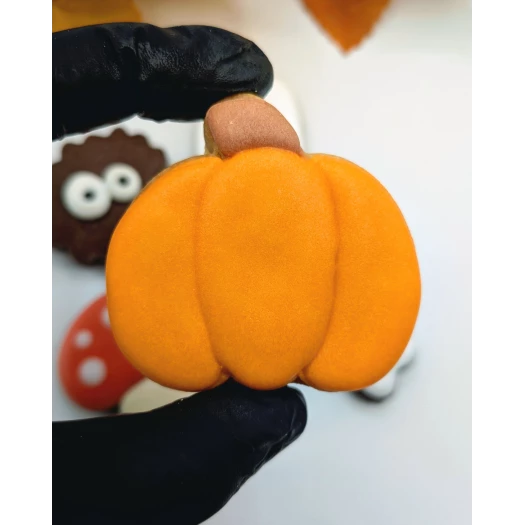 mini citrouilloe